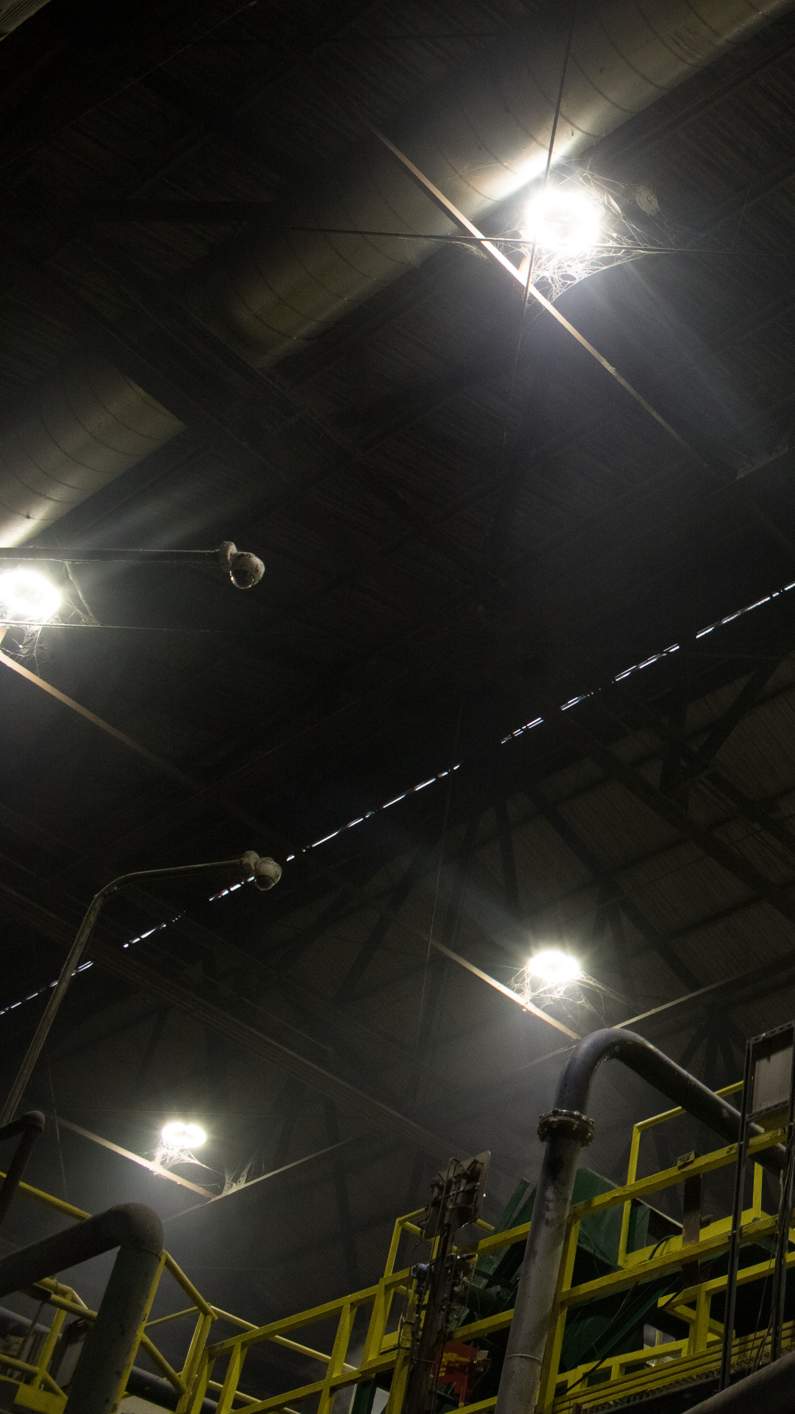 High bay LED lighting installed in an industrial plant